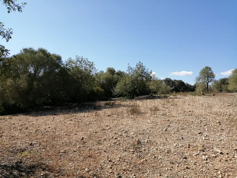 Country Land near Cas Concos — photo 9