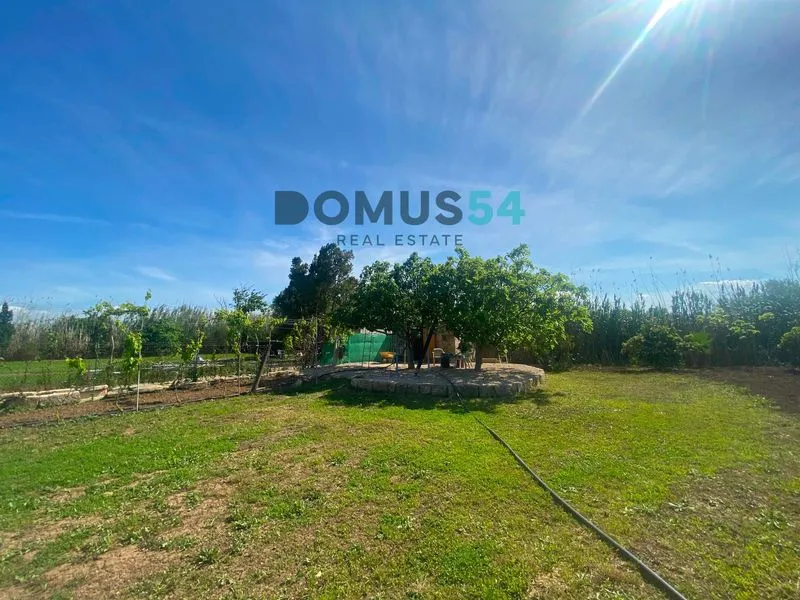 plot in Sa Pobla — photo 1