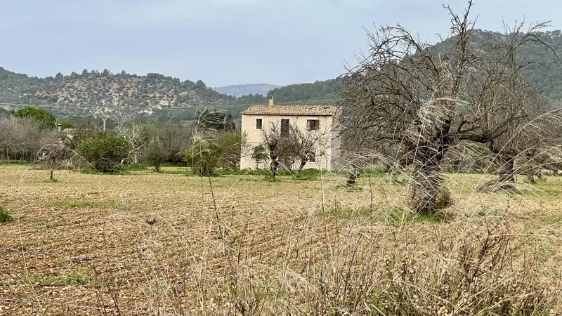 Discover the charm of rural life in Binissalem with this impressive rustic estate! — photo 1