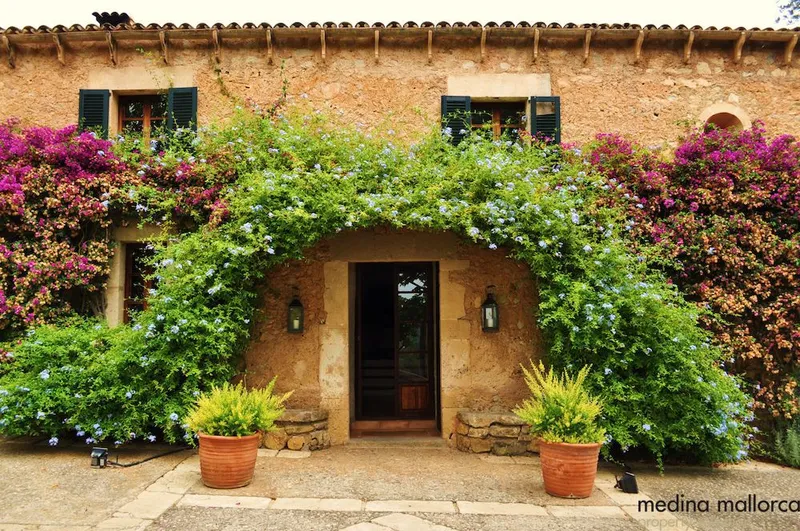 18th-century finca in Artà — photo 4