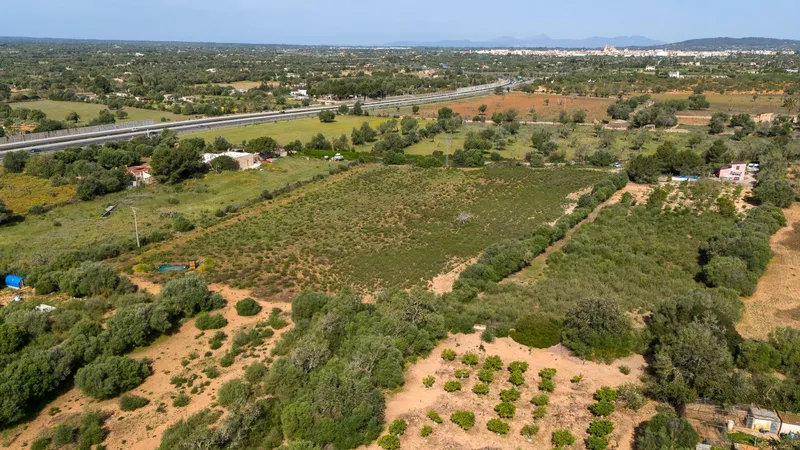 Rustic plot with project and favorable resolution in Llucmajor — photo 4