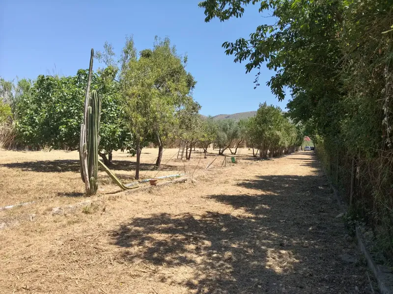 Beautiful finca in Sa Pobla, with 3300 m2, and house of 56 m2, with 1 bedroom, bathroom, living-dining room with fireplace, and kitchen, no electricity, works — photo 3
