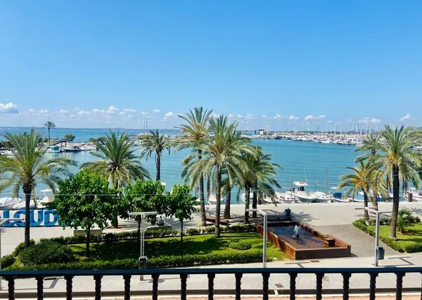 Flat / apartment in Paseo Marítim, 2, Port d'Alcúdia - Platja d'Alcúdia, Alcúdia — photo 1