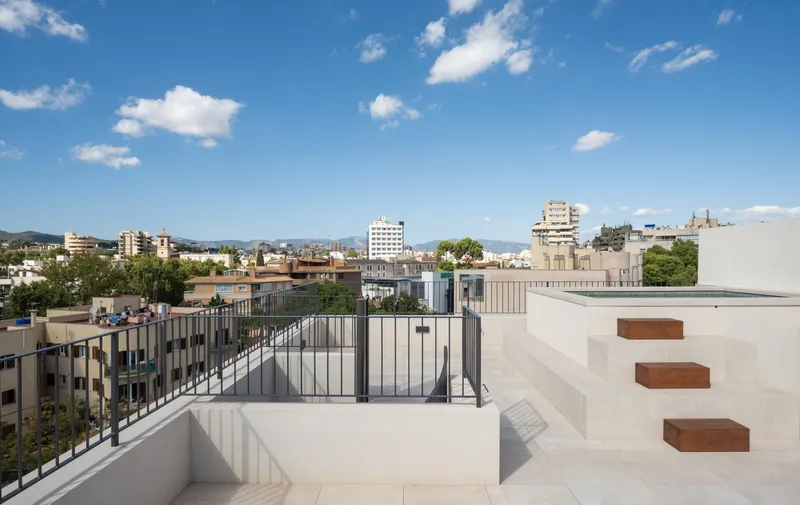 Fantastic penthouse in Son Armadams with roof terrace and private pool — photo 3