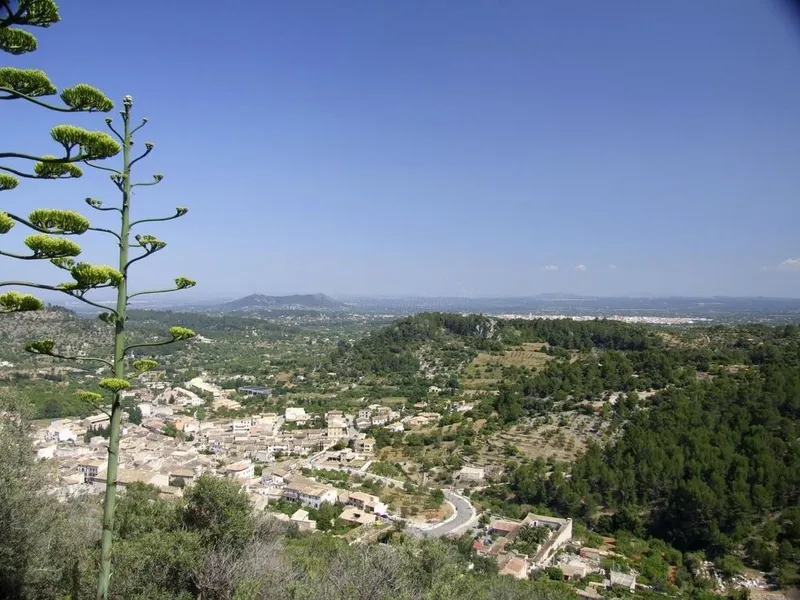 Land in Mancor de la Vall, Province of Balearic Islands — photo 7