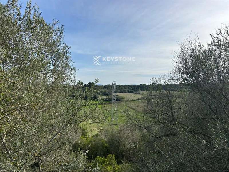 Plot — photo 8