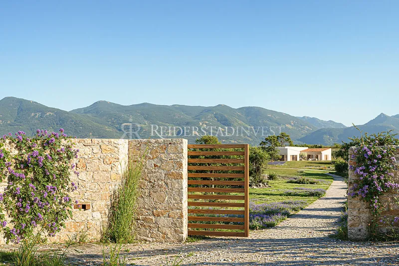 Sant Joan — photo 11
