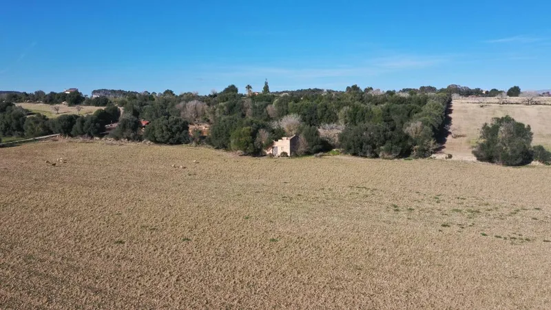 Nice plot in a quiet area on the outskirts of Petra — photo 4