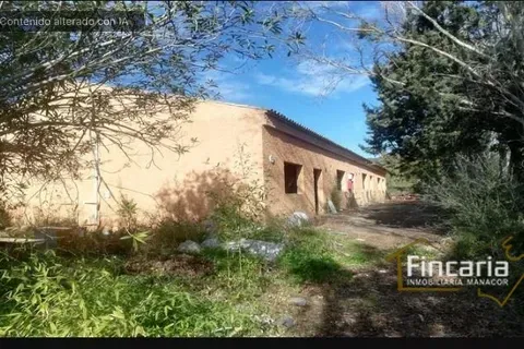 Country house in Sa Pobla, Mallorca — photo 6