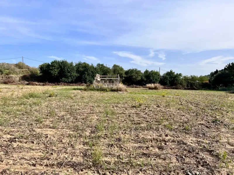 On the outskirts of Alcudia, we have this finca of about 12,900 m2 of land, with a water well, fenced finca, with 1 building in ruins. — photo 4