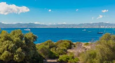 Fantastic penthouse with terrace and sea views in Son Veri Nou — photo 1