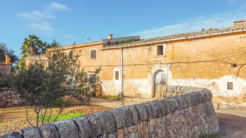 Charming rustic finca with great renovation potential in Ses Salines πΏ β photo 7