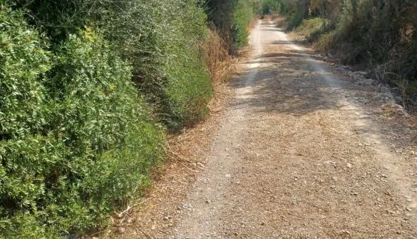 Countryside property in Son... — photo 12