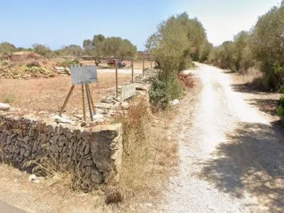 For rent: Plot of 5,000 m² with small house in Santanyí – Ideal for horses — photo 4