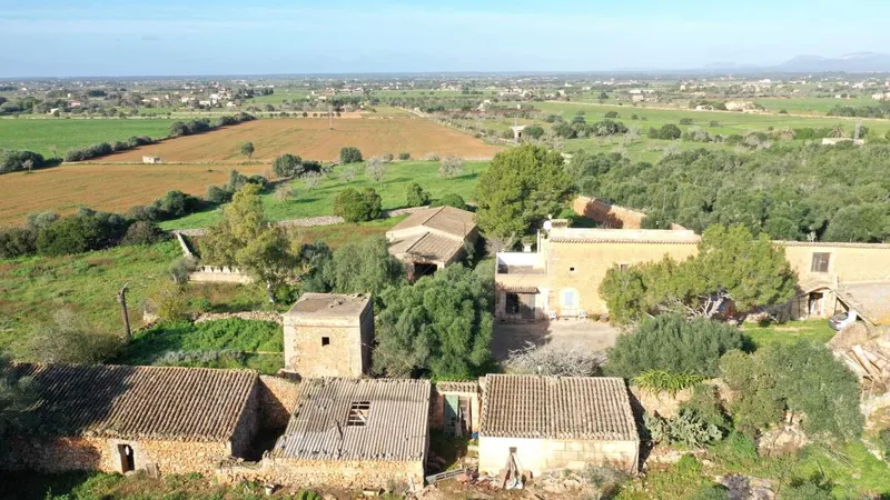 Big finca near Campos with many possibilities — photo 8
