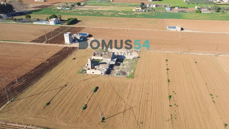 Rustic building plot in Sa Pobla — photo 10