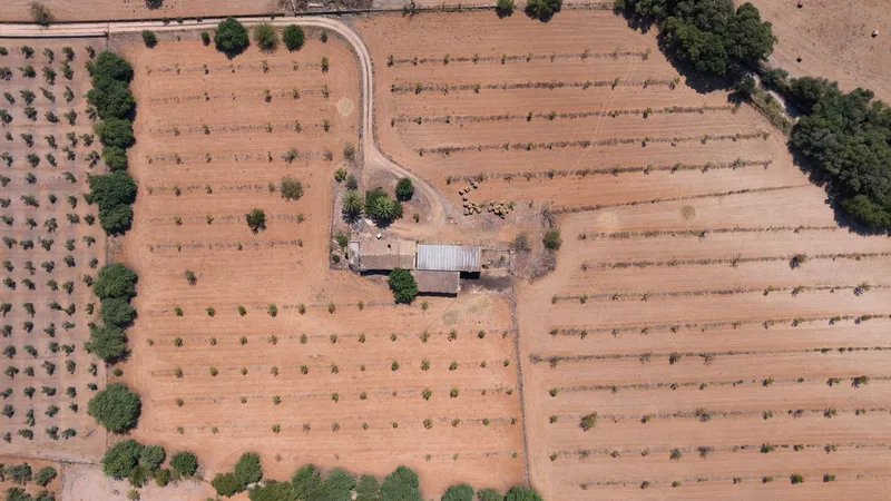Luxury Mallorca Finca for sale in Binissalem — photo 2