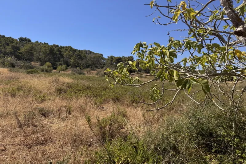 Dream plot with basic project and mountain views near Es Carritxo — T 20 — photo 6