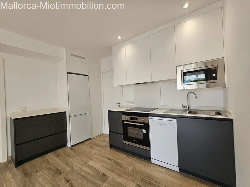 70m² apartment with 2 rooms, bathroom and terrace for rent — photo 6