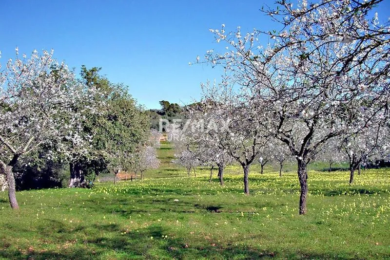Exclusive plot with project in Santanyí — photo 1