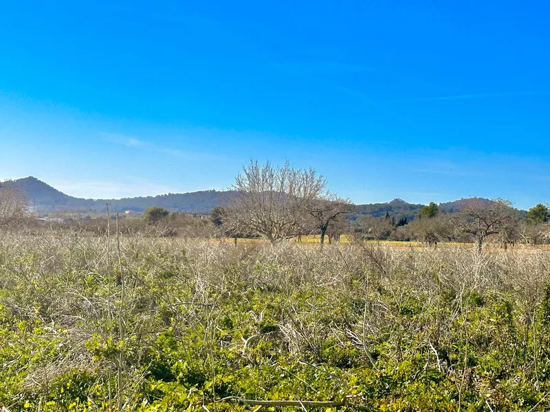 Building plot with project in a fantastic location — photo 3