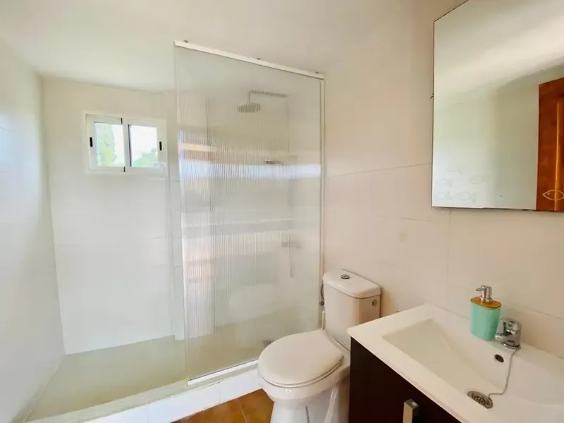 Finca with two guest apartments near Sa Pobla – available from June 1 — photo 11