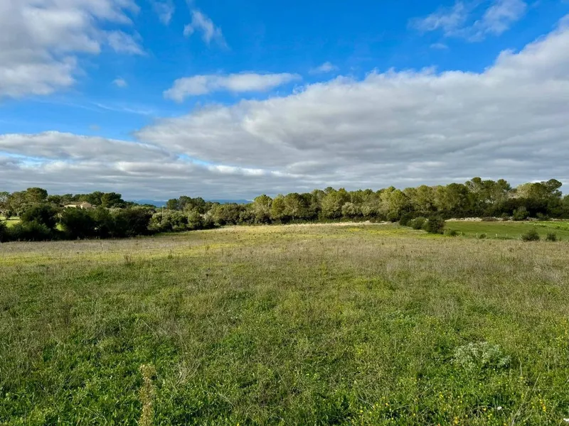 Land in Lloret de Vistalegre, Province of Balearic Islands — photo 3