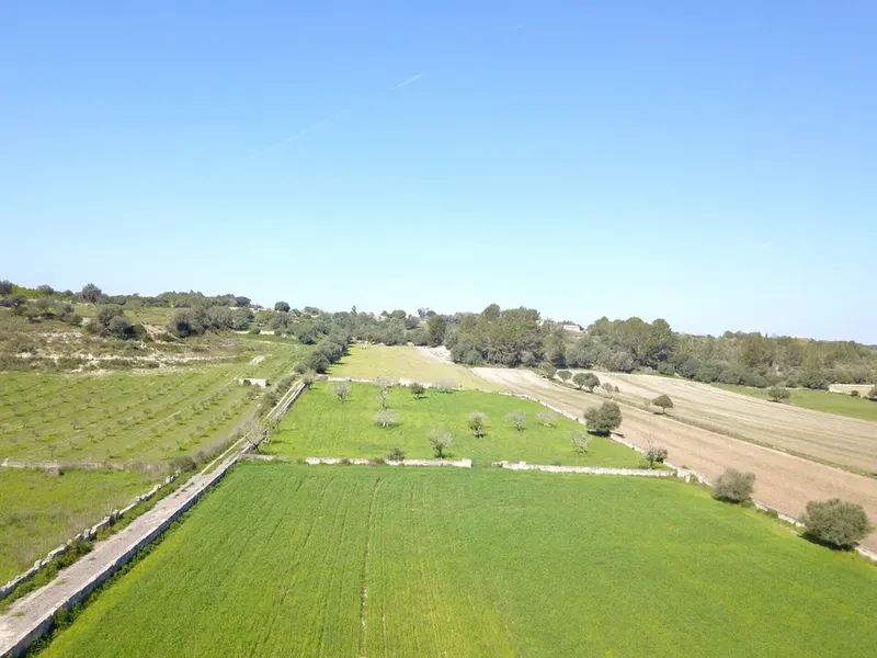 Land in Ariany, Mallorca — photo 2