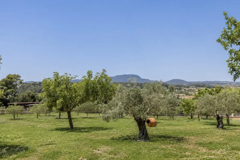 Attention Horse Lovers: Luxury Finca Near Montuïri with a Pool, Horse Stabling, ... — photo 7