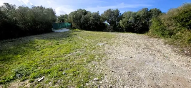 Rustic Land - Manacor (Manacor Centro), Plot Surface 2600m² — photo 2