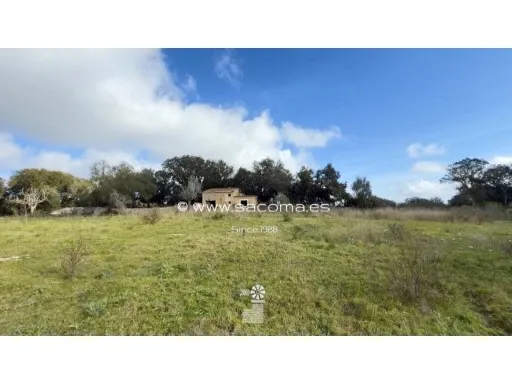Buildable rustic plot in Artà with building permit — photo 1