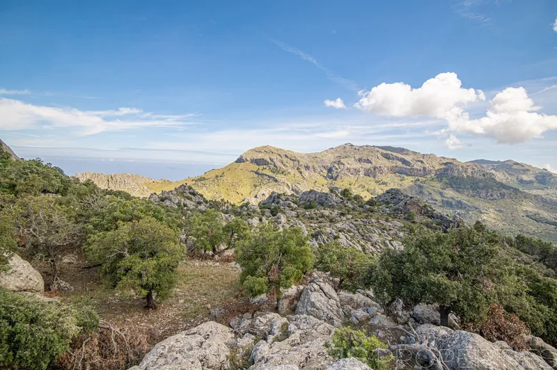 Villa for sale in Escorca, Mallorca — photo 1