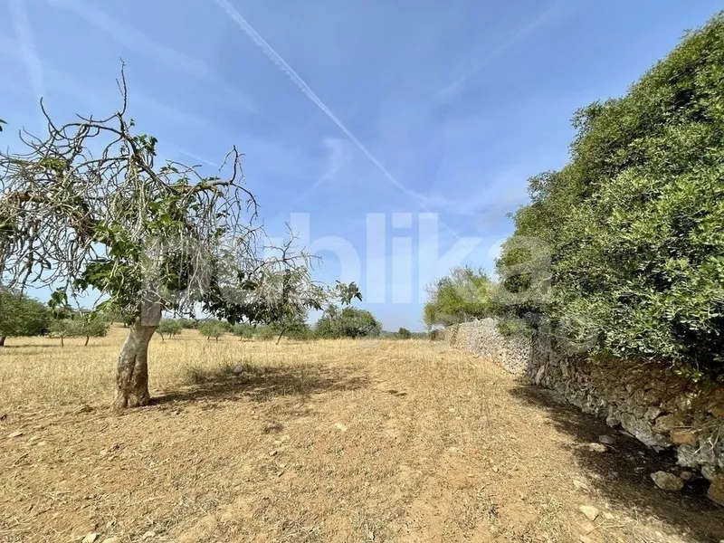 Rural or Farmhouse in Manacor, Province of Balearic Islands — photo 9