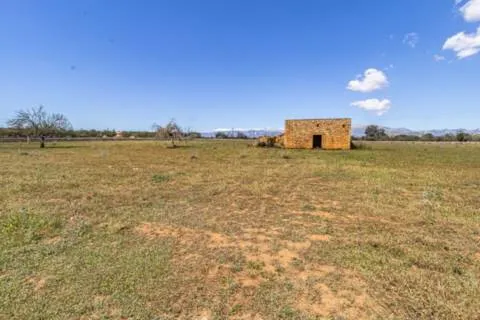 Plot — photo 1