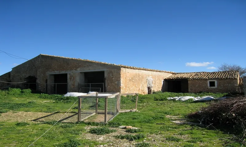 Rustic country property of 1,250,000 m² with buildings in the vicinity of Palma city — photo 4