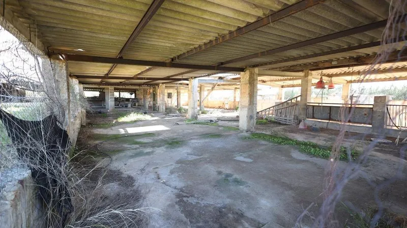 Land in Binissalem, Province of Balearic Islands — photo 7