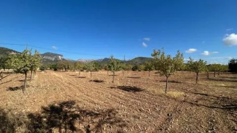 Terreno — photo 1