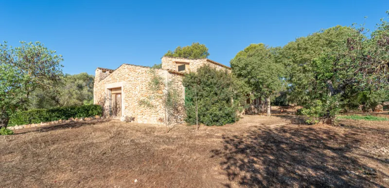 Country house for sale in Campos with land, orchard and own well — photo 11