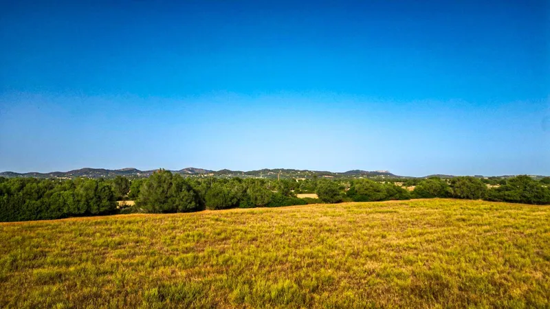 Plot in Felanitx with potential for your dream home — photo 11