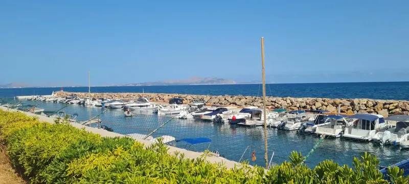 Discover this magnificent chalet renovated in 2022 located in the coveted area of Son Serra de Marina, in Santa Margalida. With a surface — photo 4