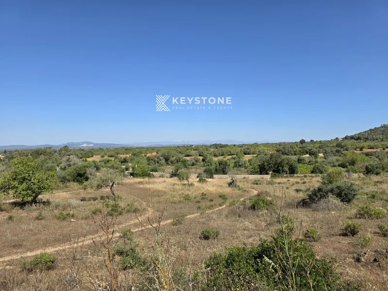 Plot — photo 6