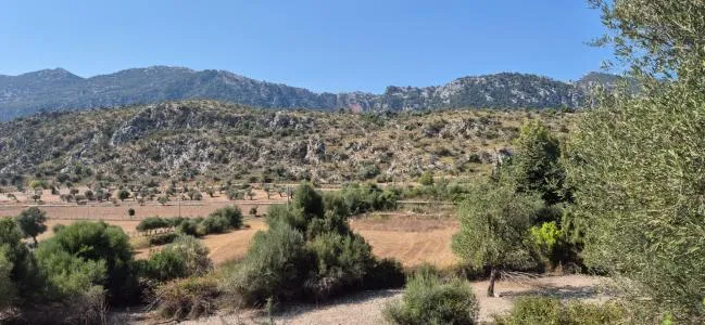 Urbanizable land - Bunyola — photo 10