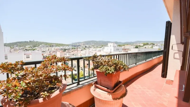 Apartment in Son Espanyolet — photo 3