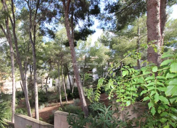 Building Plot for Sale in Santa Ponsa, Mallorca — photo 1