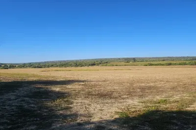 Buildable plot in Manacor — photo 1