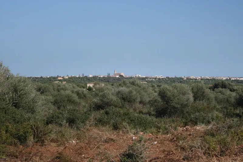 Large finca plot with planning permission and open views near Santanyí — photo 3