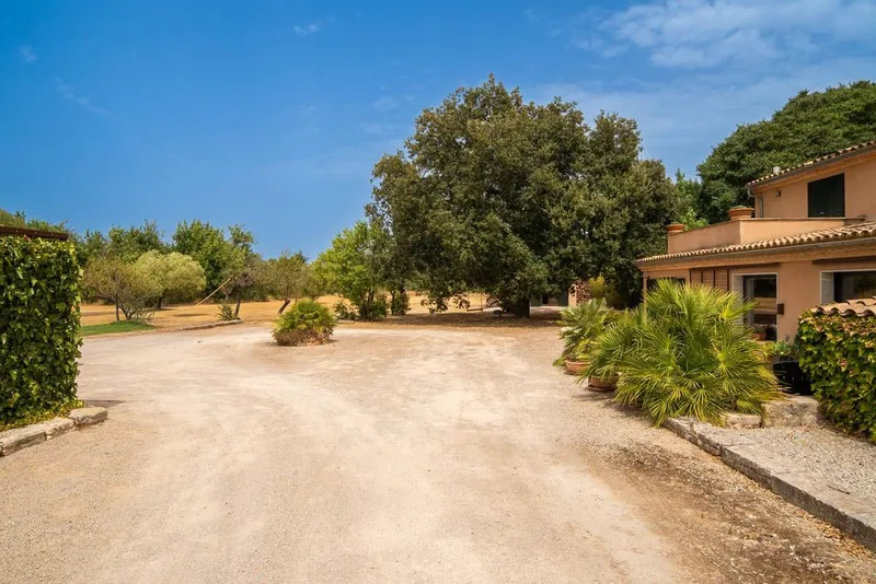 Villa in Binissalem, Province of Balearic Islands — photo 6