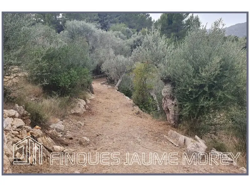 Discover your perfect refuge in nature! This charming rustic mountain property, located at the foot of the majestic Tramuntana mountain range — photo 3