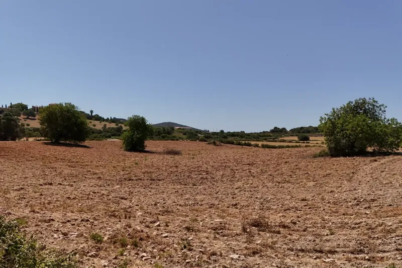 Land for Sale in Sant Llorenç des Cardassar — photo 7