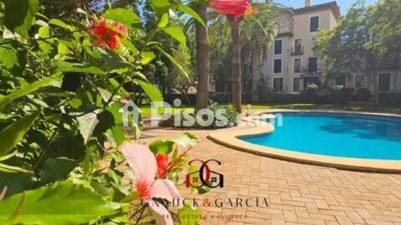 Apartment in La Teulera — photo 3